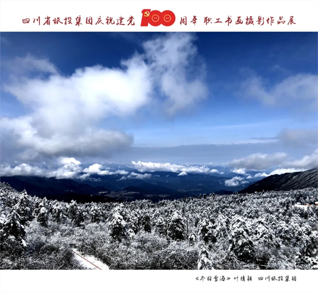 6.webp 6.webp